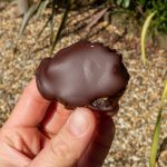 Holding chocolate peanutbutter date in a sunny garden
