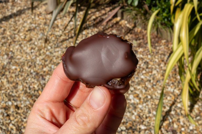 Holding chocolate peanutbutter date in a sunny garden