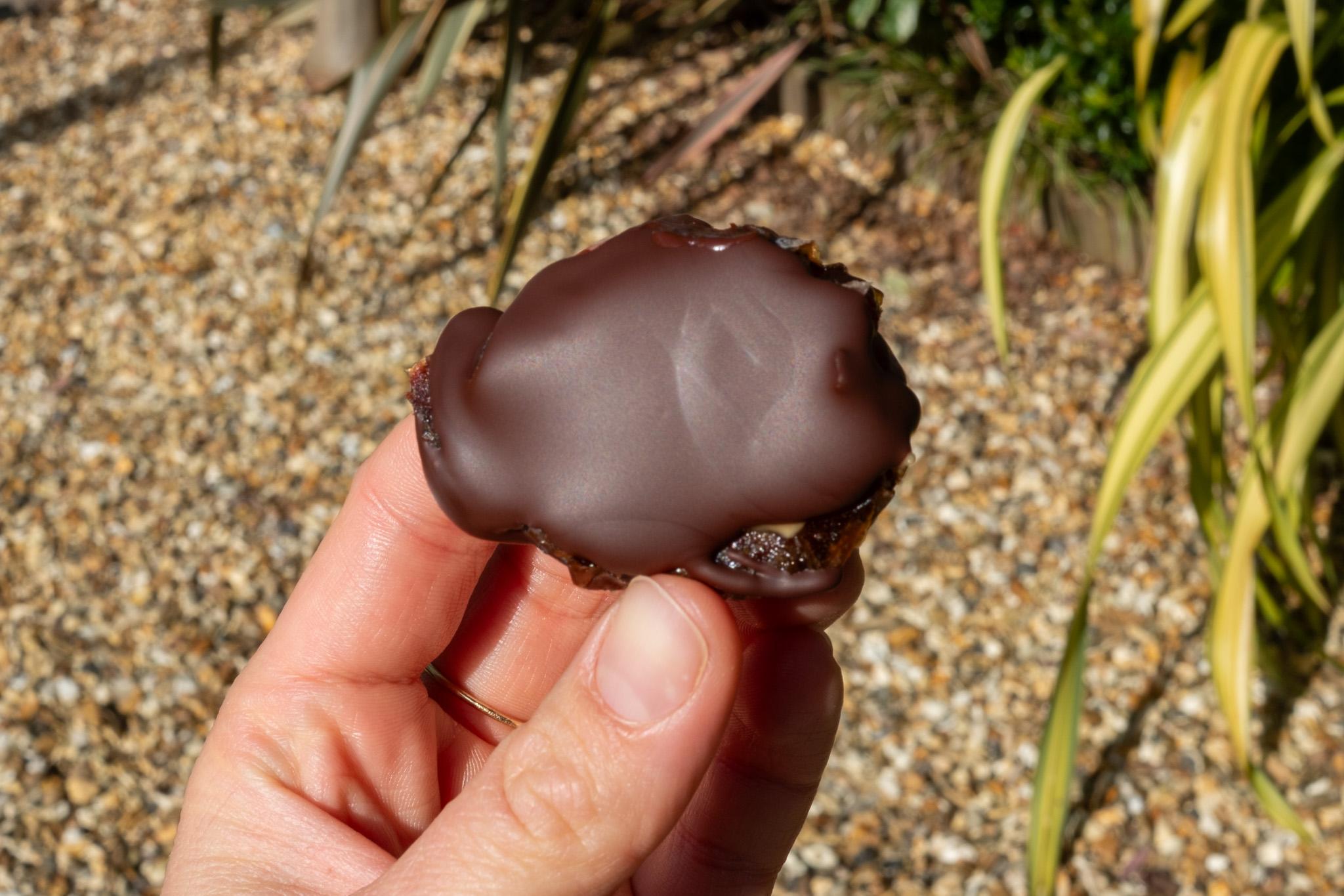 Holding chocolate peanutbutter date in a sunny garden