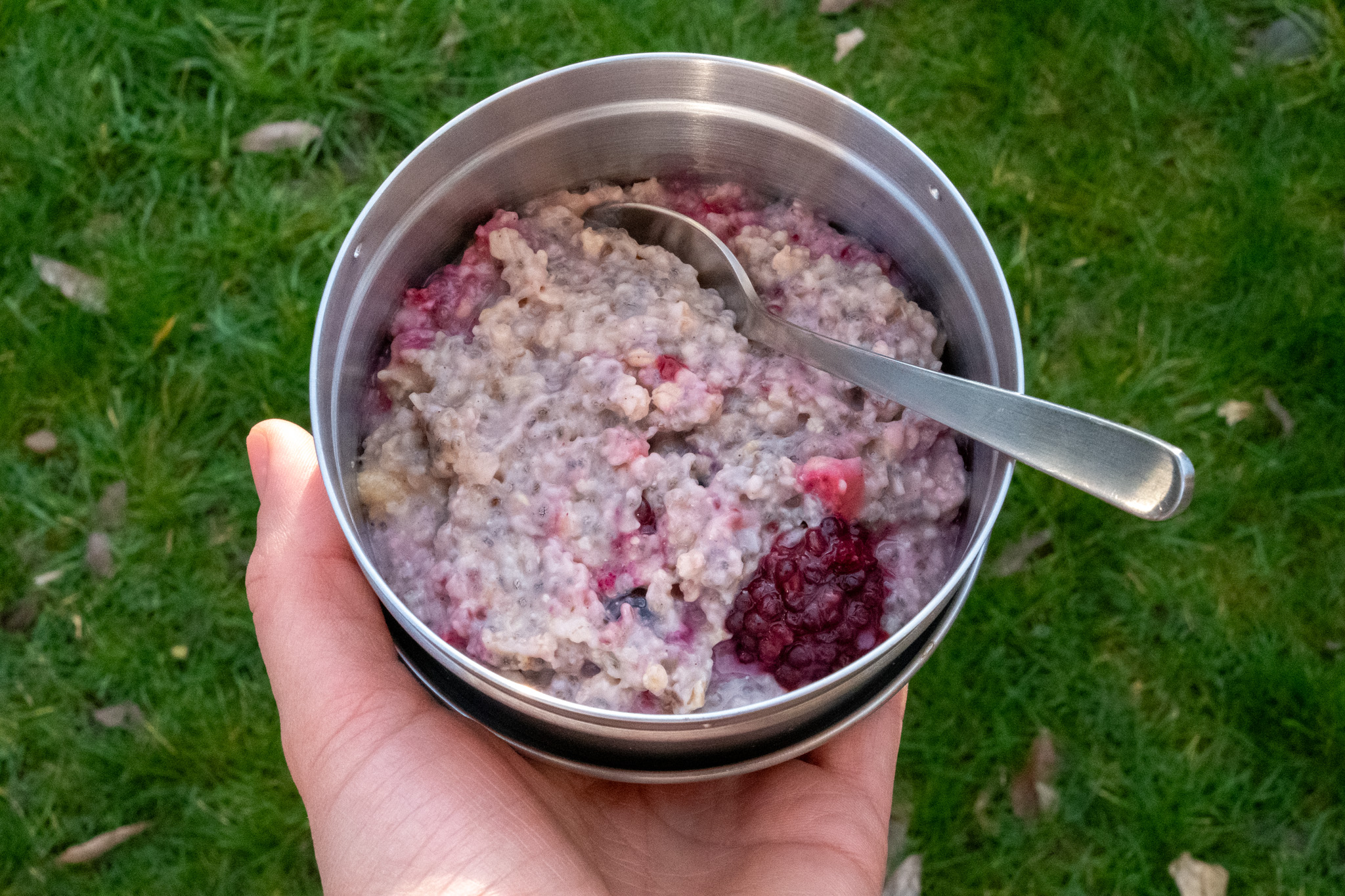 A bowl of berry and chia seed porridge being enjoyed in the garden